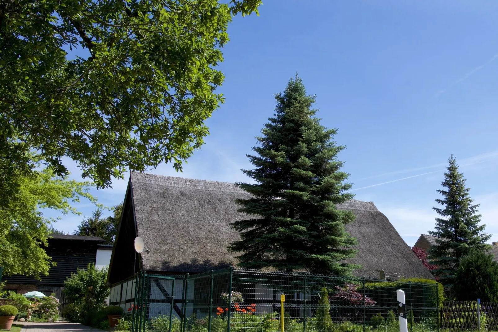 Ferienhaus - Ahlbeck am Haff / Nr 1-Buitenkant zomer