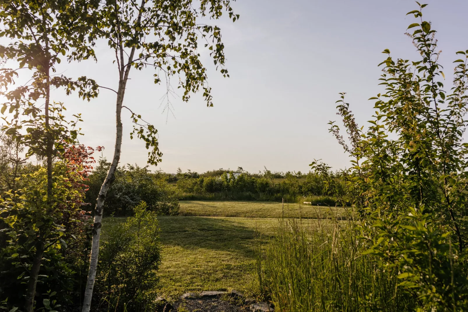 EcoLodge Sauerland 2-Gebieden zomer 1km