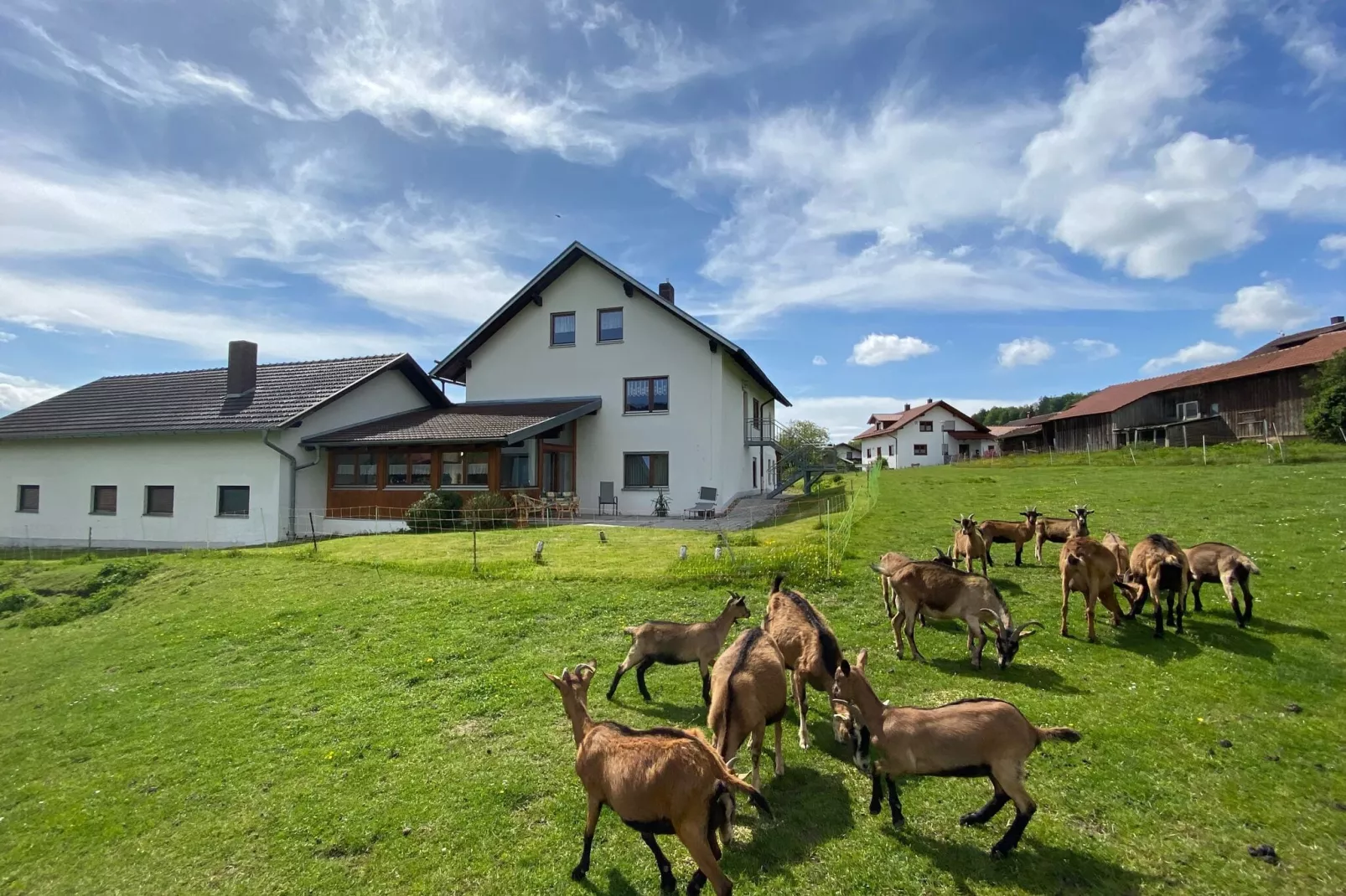 Landhaus Rosmarie-Buitenkant zomer