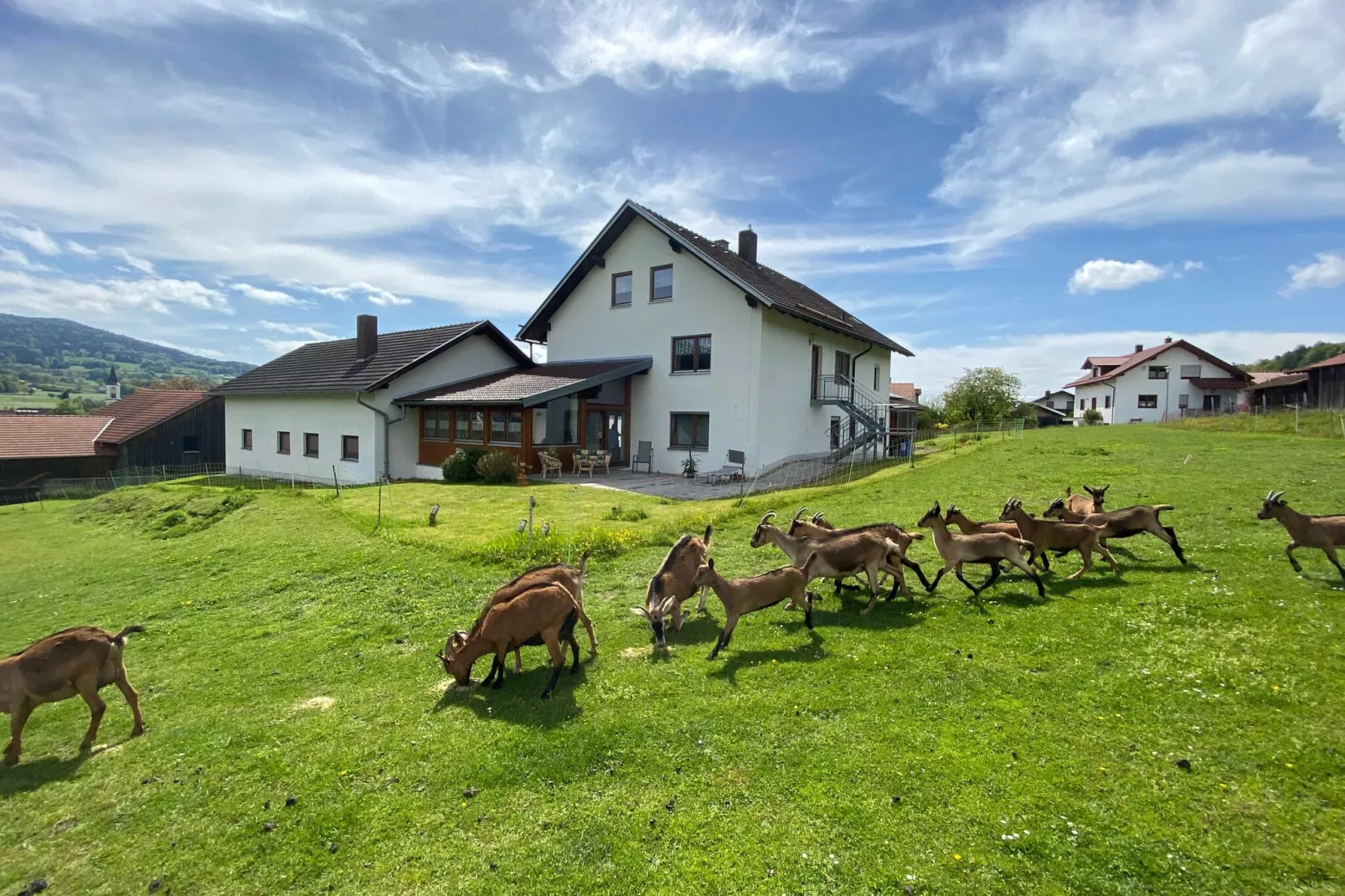 Landhaus Rosmarie-Buitenkant zomer