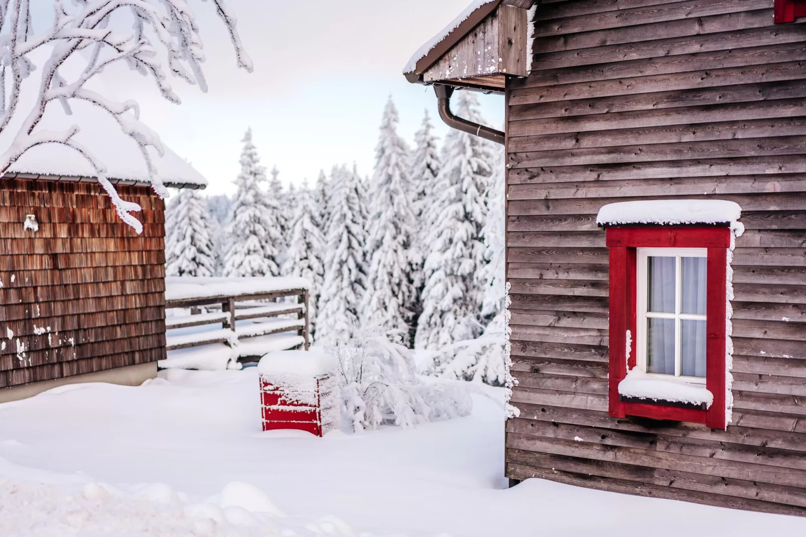 Ferienhaus Typ Premium Lodge 5 Personen-Exterieur winter