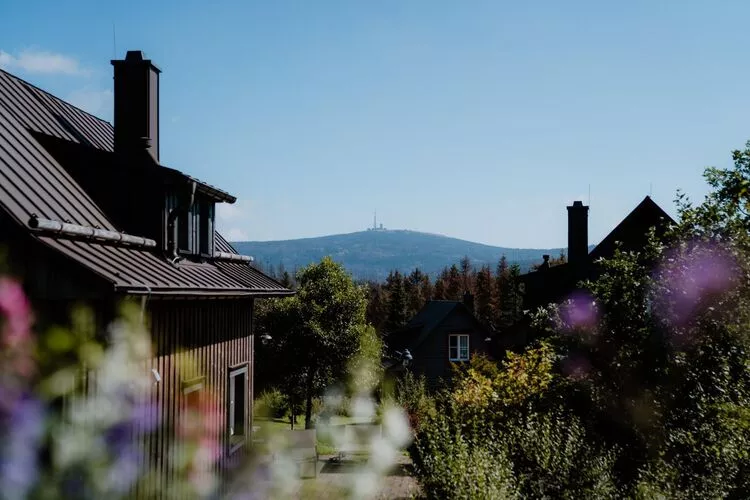 Ferienhaus Typ Premium Lodge 4 Erw 2 Kinder-Tuinen zomer