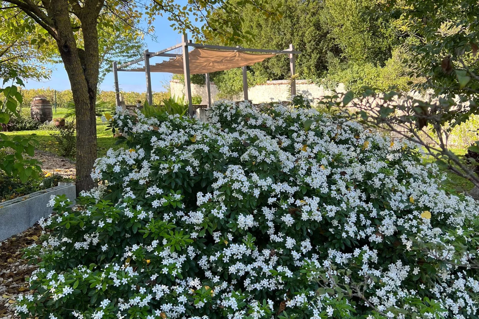 Cottage Côte Atlantique-Tuinen zomer