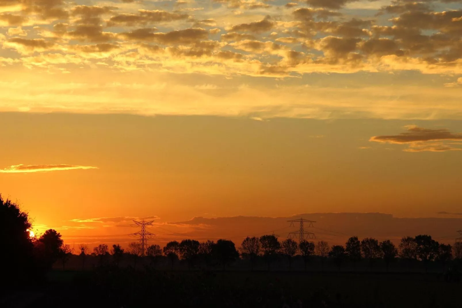 Het Biesbosch huisje-Gebieden zomer 1km