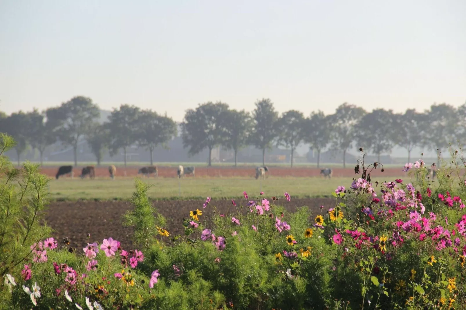 Het Biesbosch huisje-Gebieden zomer 20km