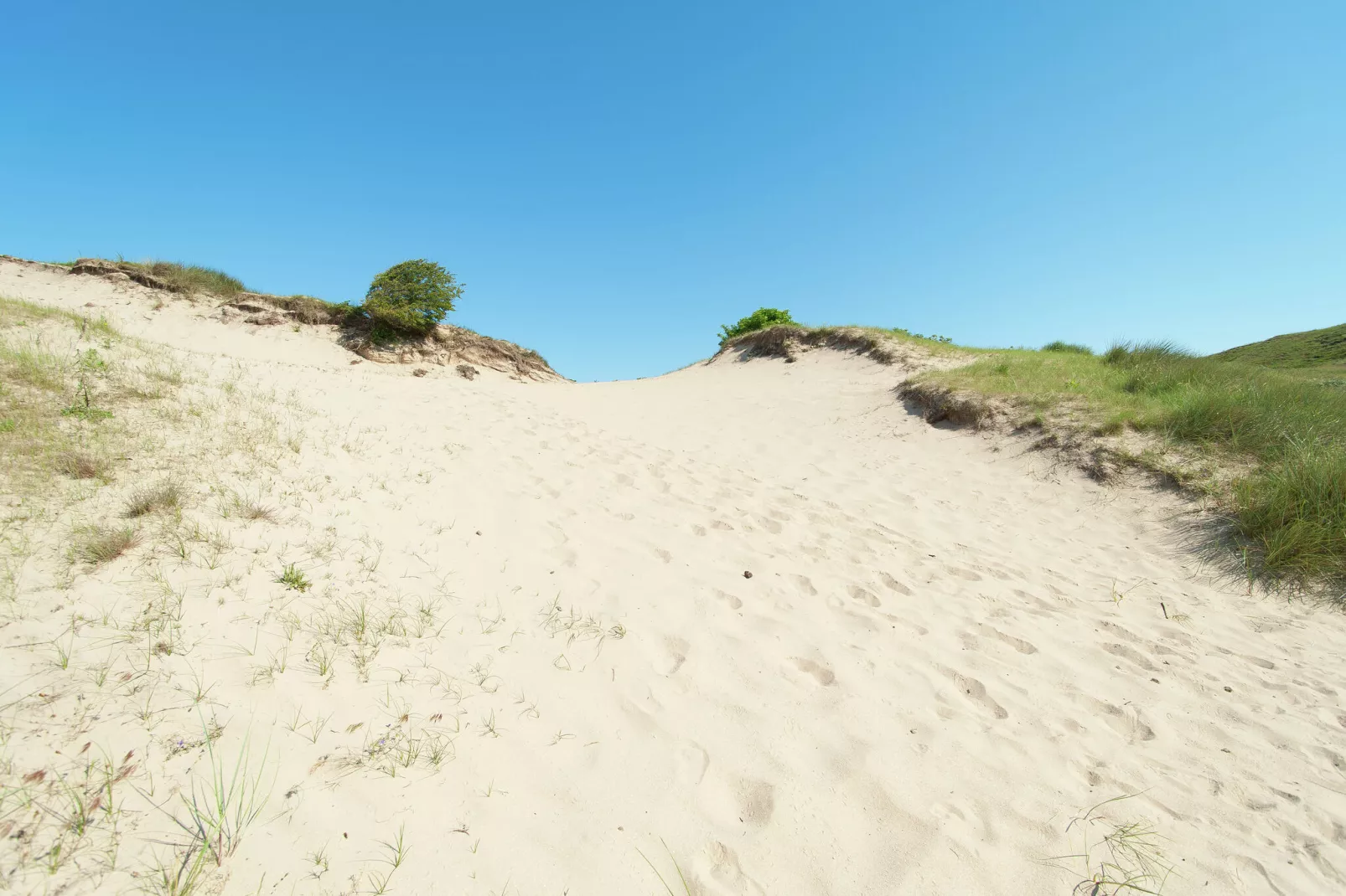 Sea Lodges Bloemendaal 3-Gebieden zomer 20km