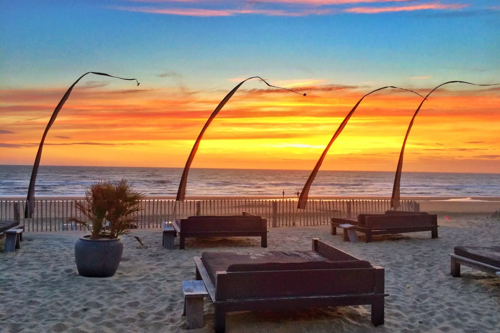 Sea Lodges Bloemendaal 4-Gebieden zomer 1km