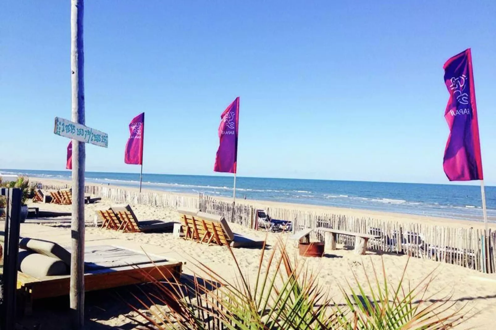 Sea Lodges Bloemendaal 4-Gebieden zomer 1km