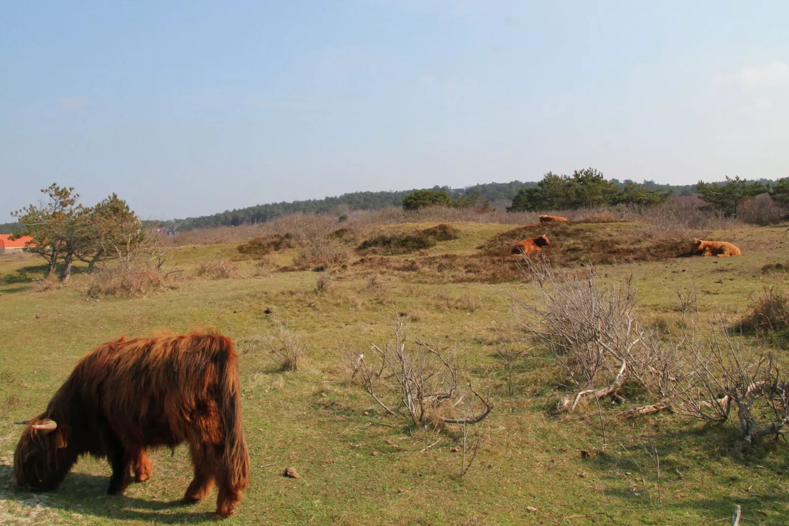 Sea Lodges Bloemendaal 4-Gebieden zomer 5km