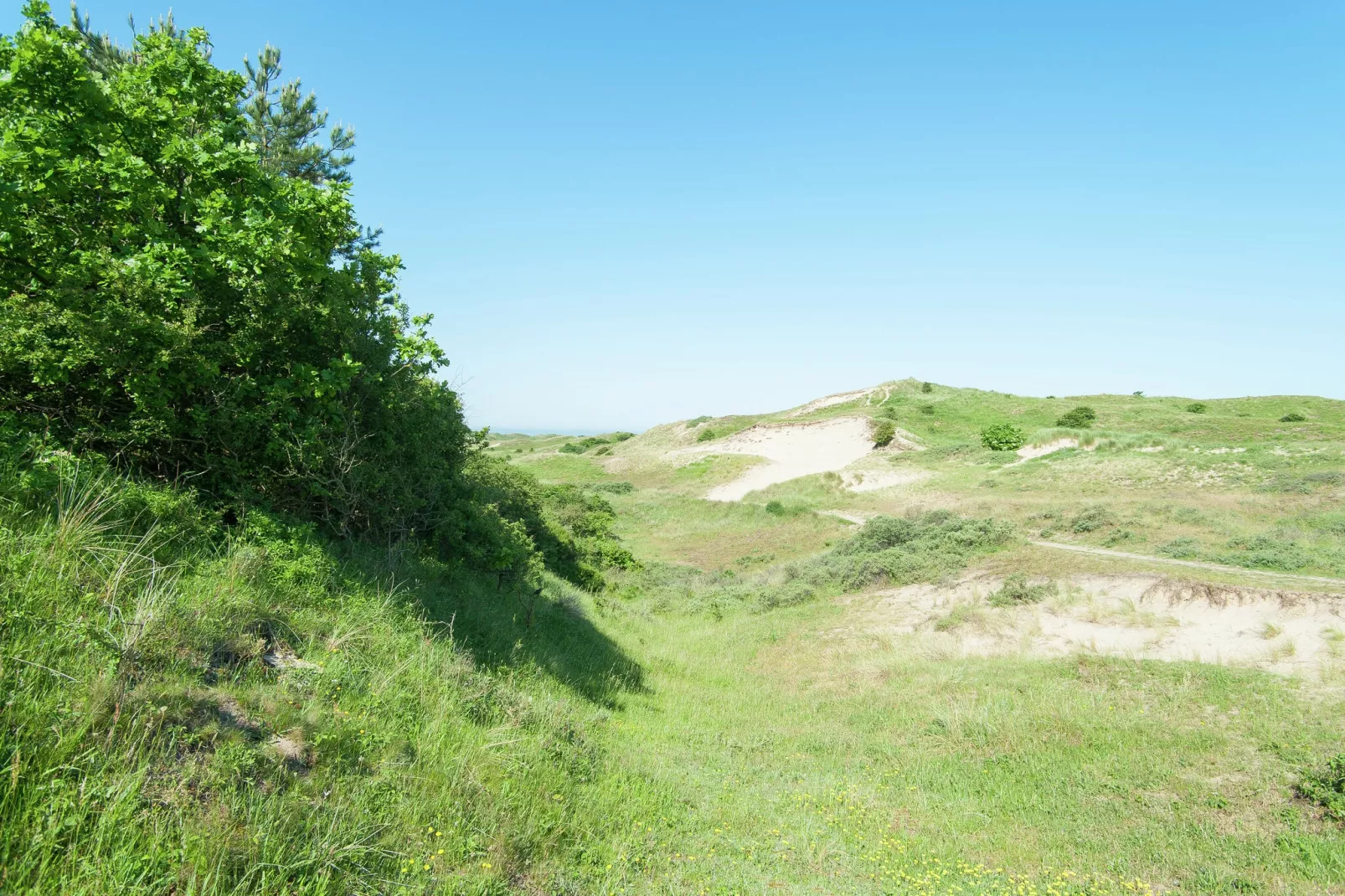 Sea Lodges Bloemendaal 4-Gebieden zomer 20km