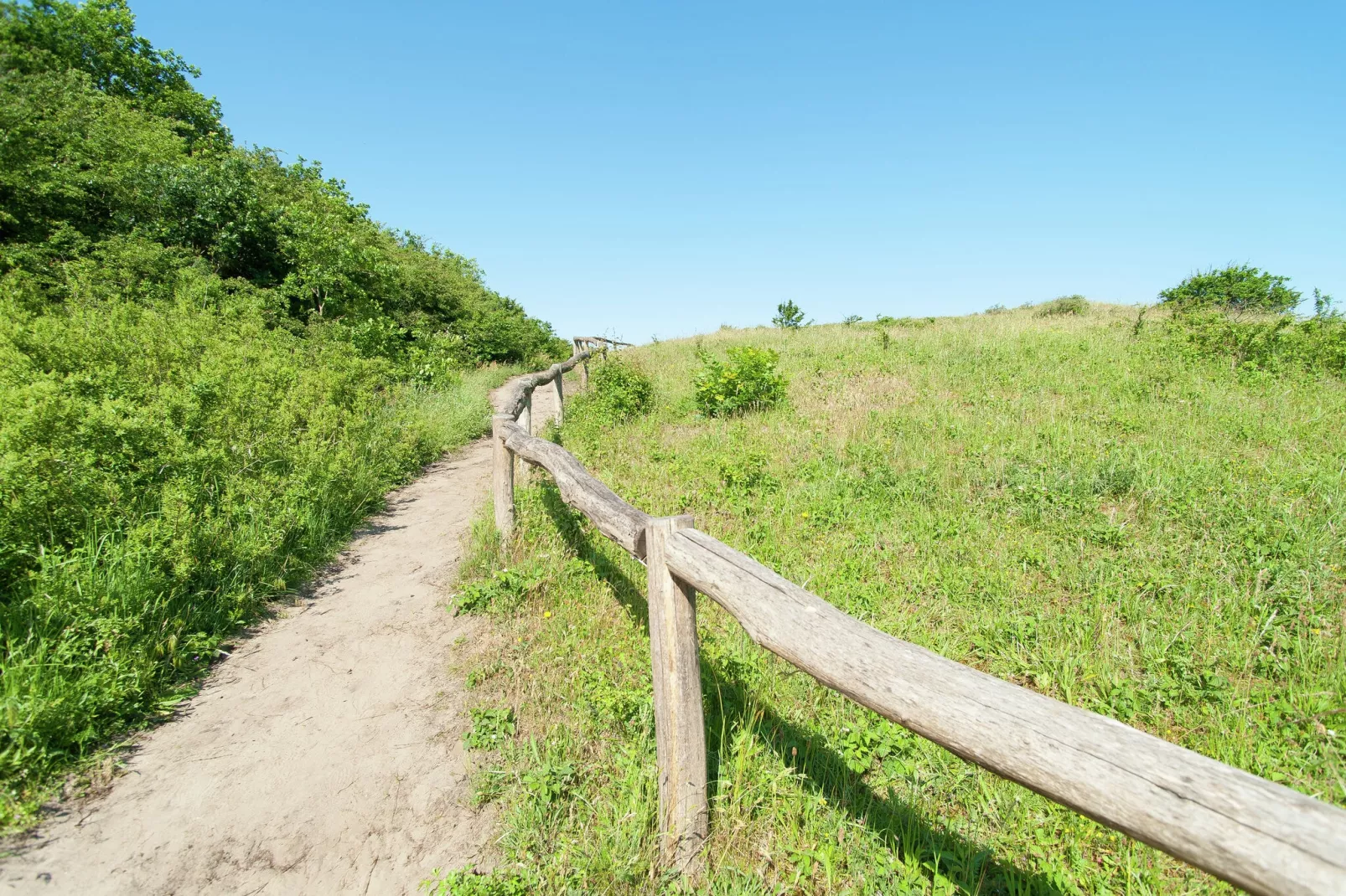 Sea Lodges Bloemendaal 4-Gebieden zomer 20km