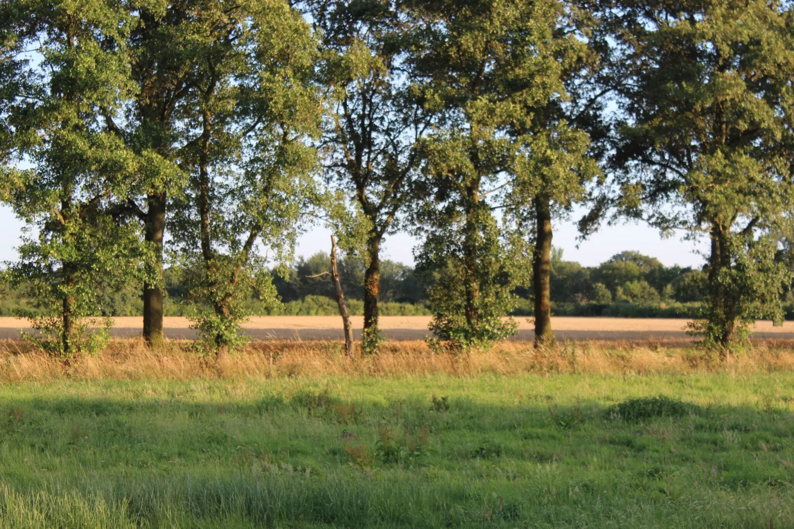 Welskerveen 5-Gebieden zomer 1km