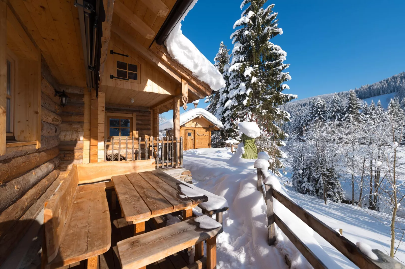 Chalet Steinbock-Exterieur winter