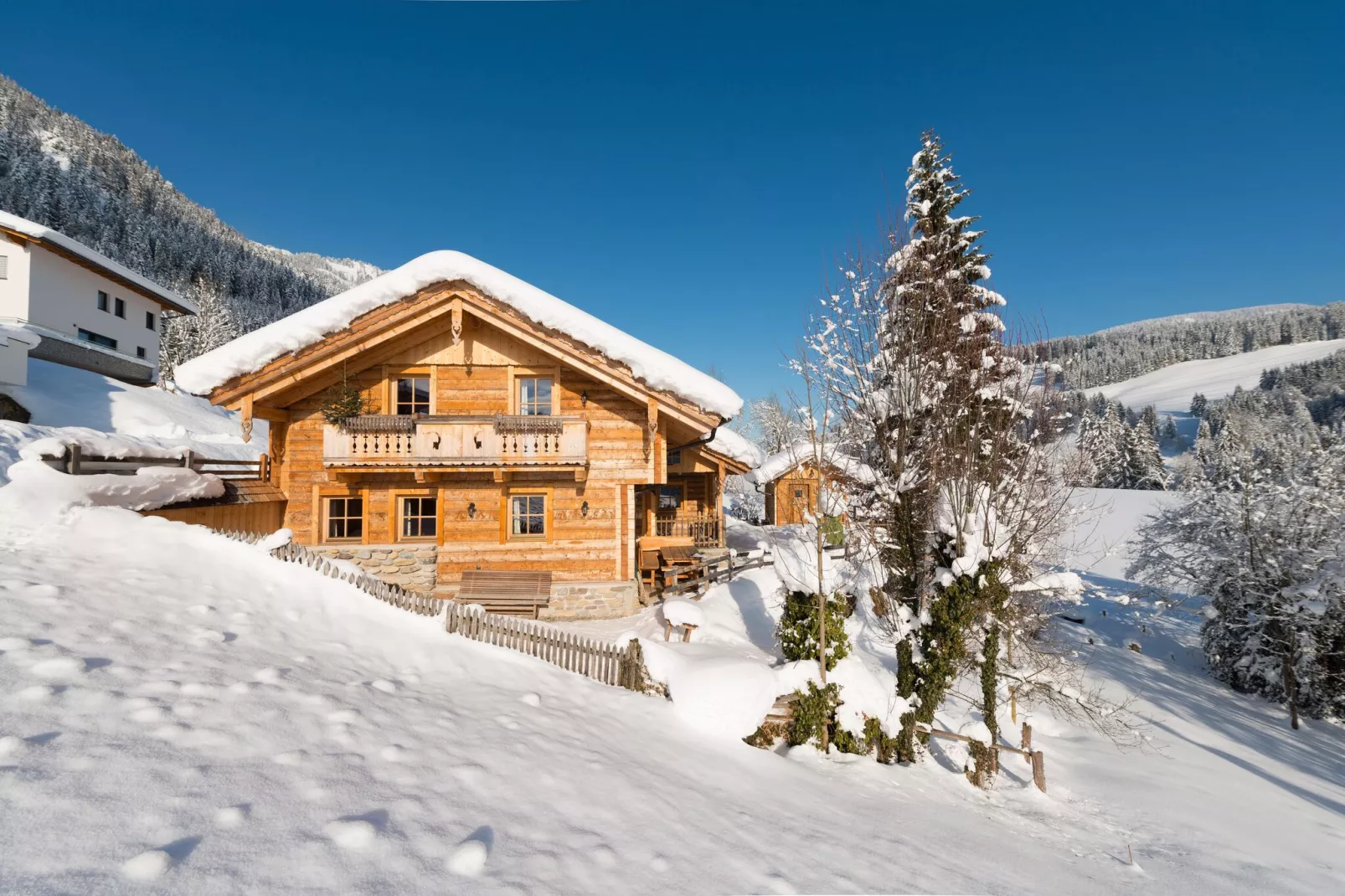 Chalet Steinbock-Exterieur winter