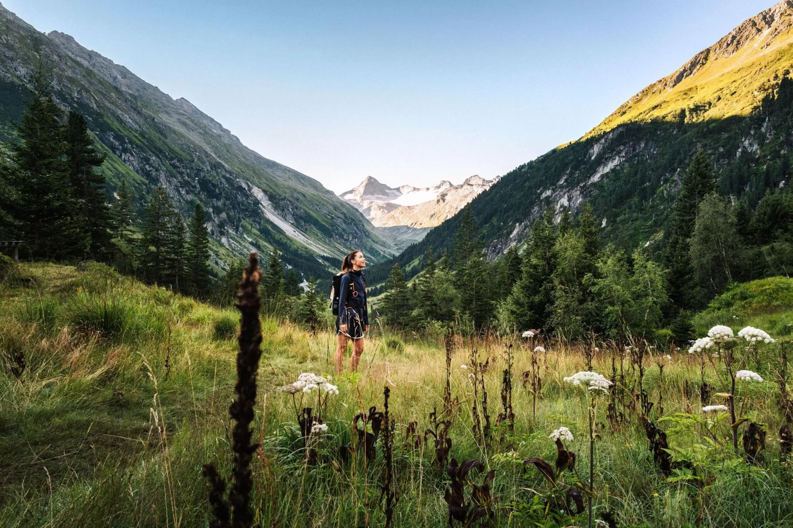 Baderhäusl-Gebieden zomer 20km