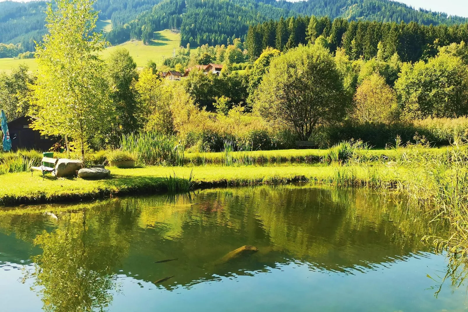 Ferienpark Gaal - Steiermark-Gebieden zomer 5km