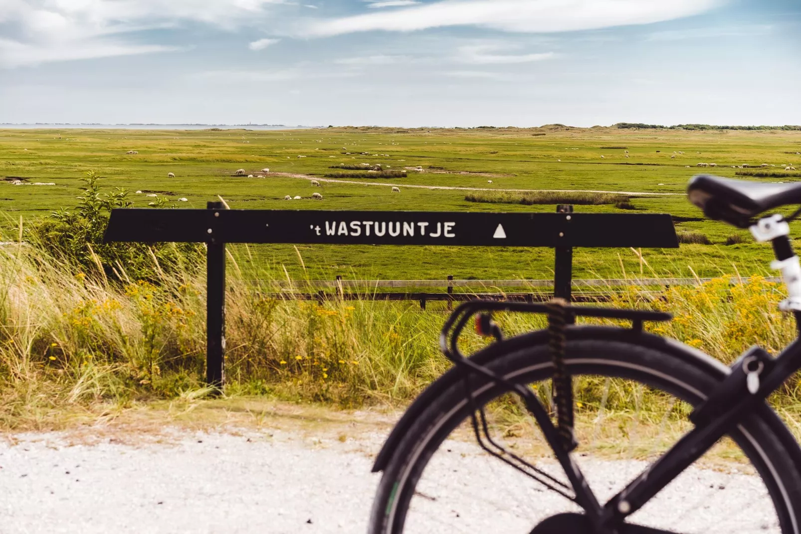 Vakantiepark Boomhiemke 14-Gebieden zomer 5km