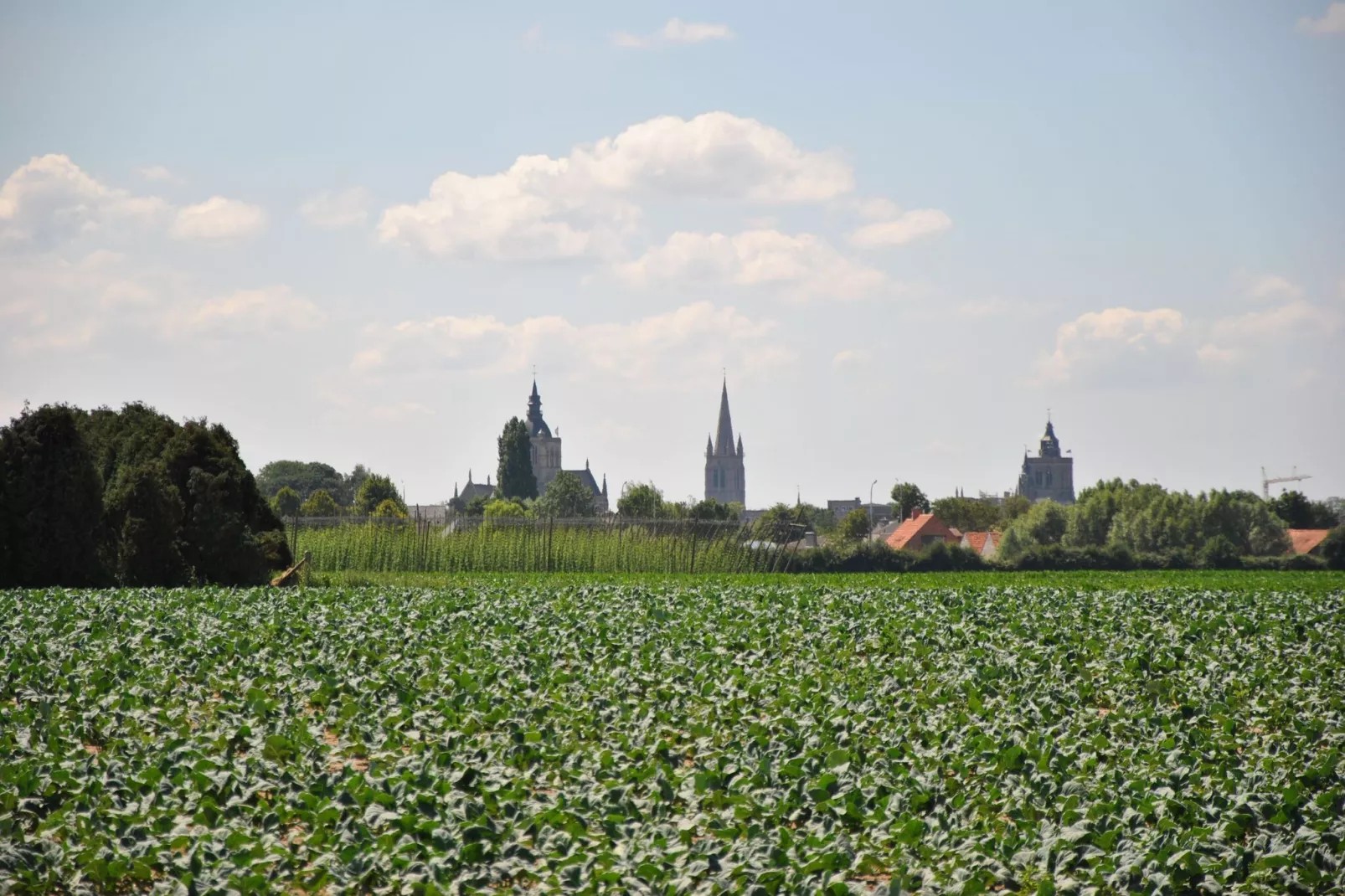 Breeduyn Village 4-Gebieden zomer 20km