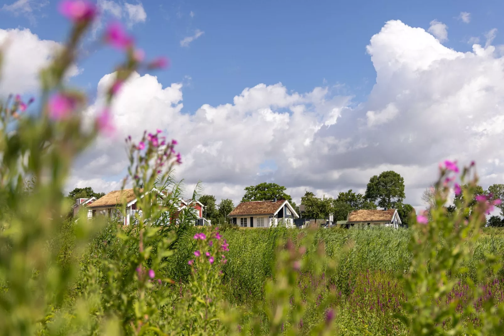 Hansapark Resort am Meer 3-Gebieden zomer 1km