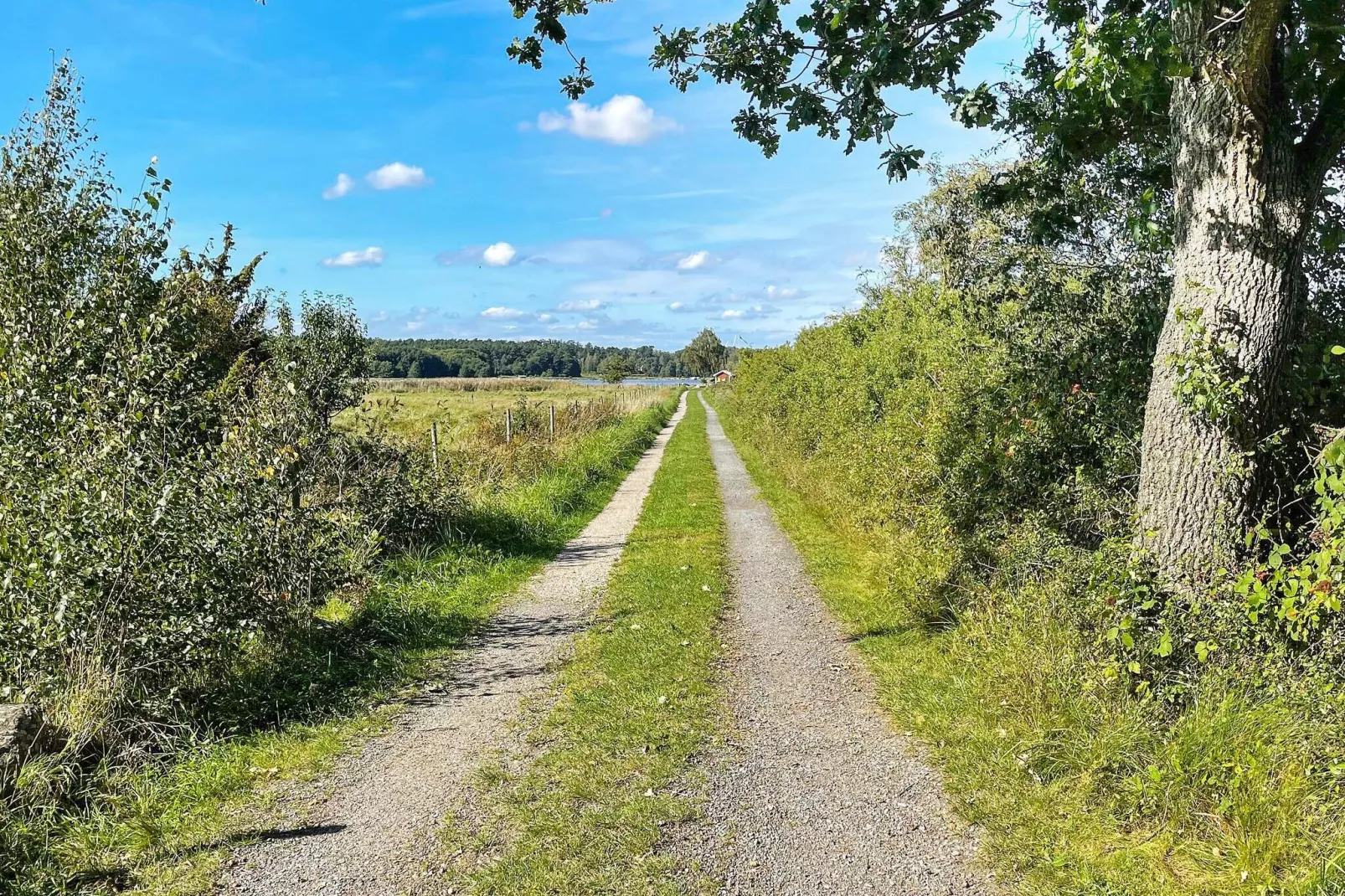 4 sterren vakantie huis in SÖLVESBORG-Buitenlucht