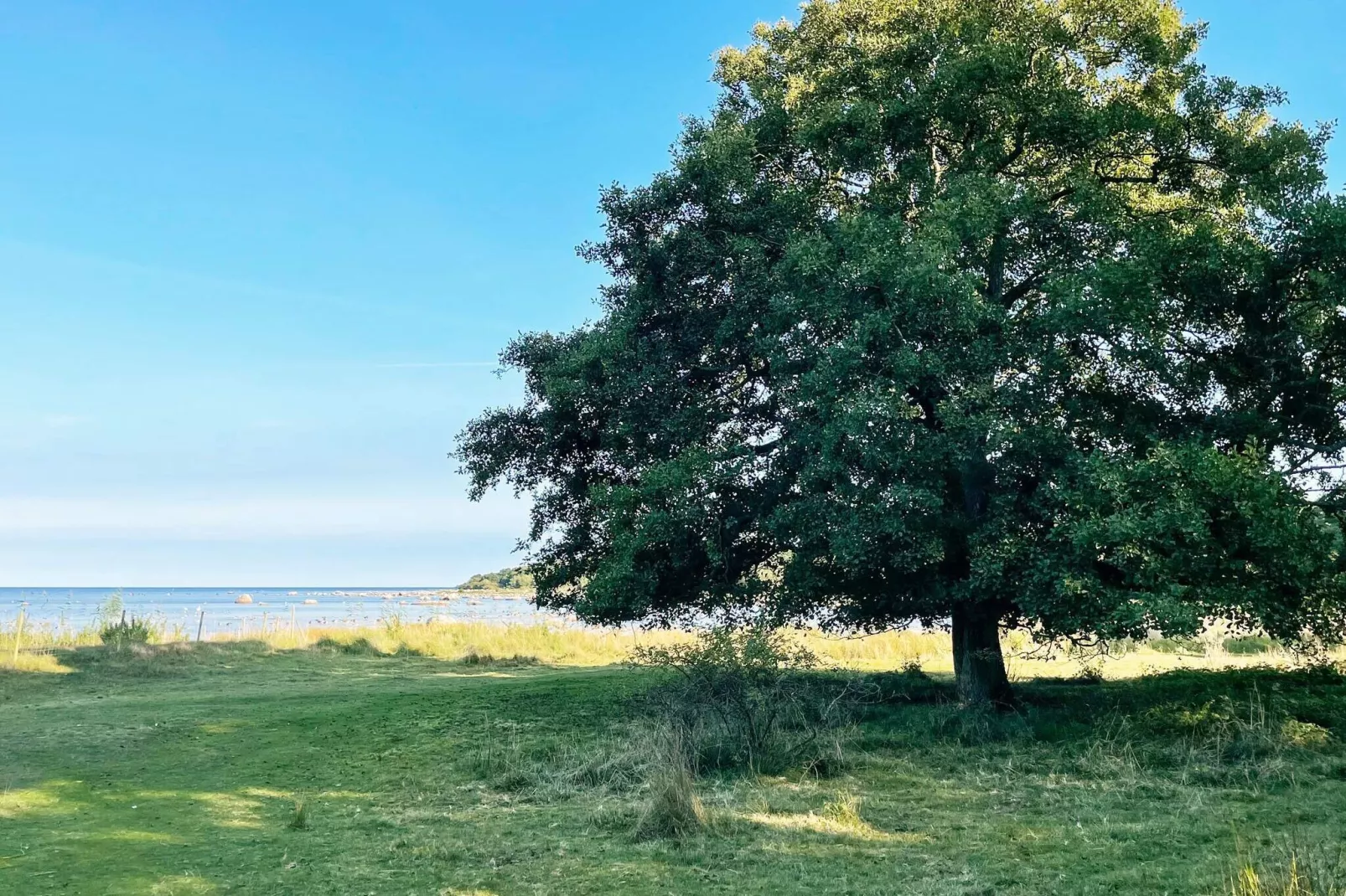 4 sterren vakantie huis in SÖLVESBORG-Buitenlucht