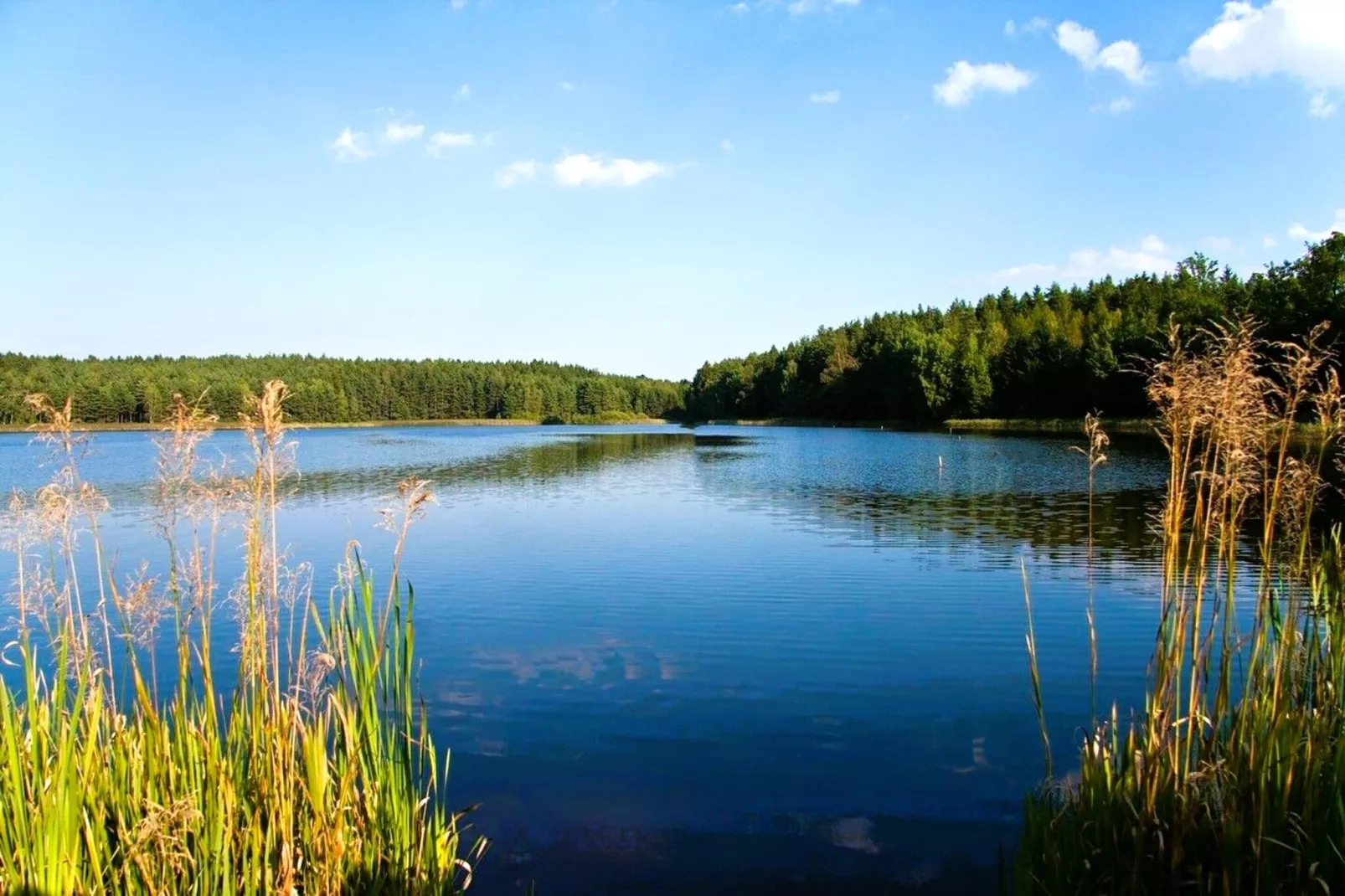 Tiny House Waldviertel-Gebieden zomer 20km