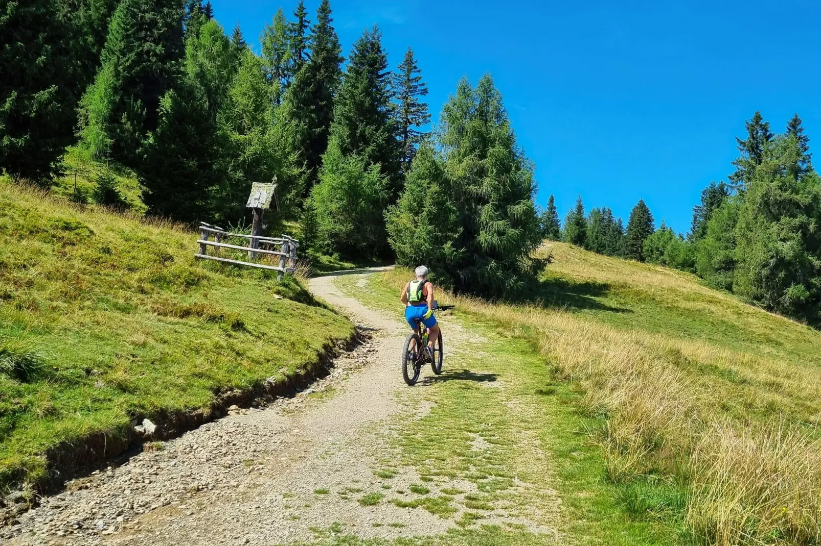 Schneiderhütte-Gebieden zomer 1km