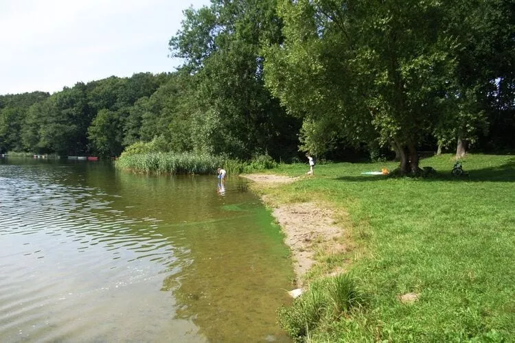 Reetdachhaus-Gebieden zomer 20km