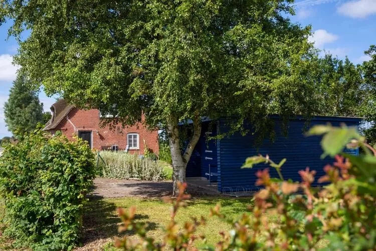 Ferienwohnung West im Reetdachhaus auf Pellworm-Tuinen zomer