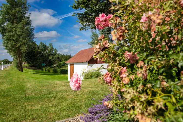 Ferienwohnung West im Reetdachhaus auf Pellworm-Tuinen zomer