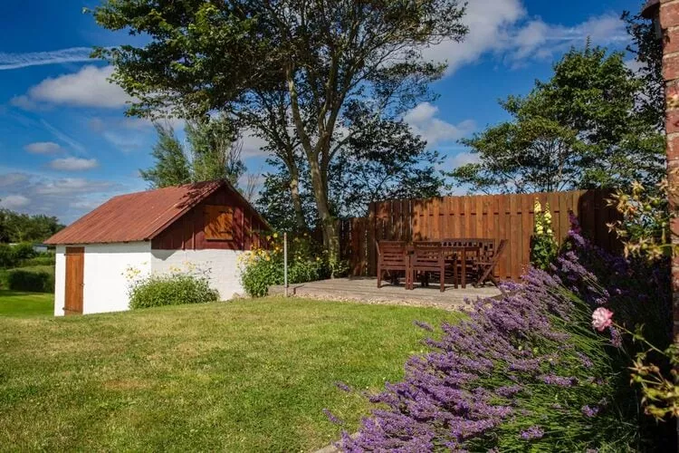 Ferienwohnung West im Reetdachhaus auf Pellworm-Tuinen zomer