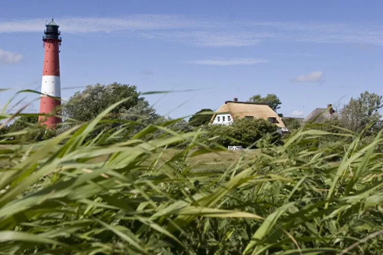 Ferienwohnung West im Reetdachhaus auf Pellworm-Gebieden zomer 5km