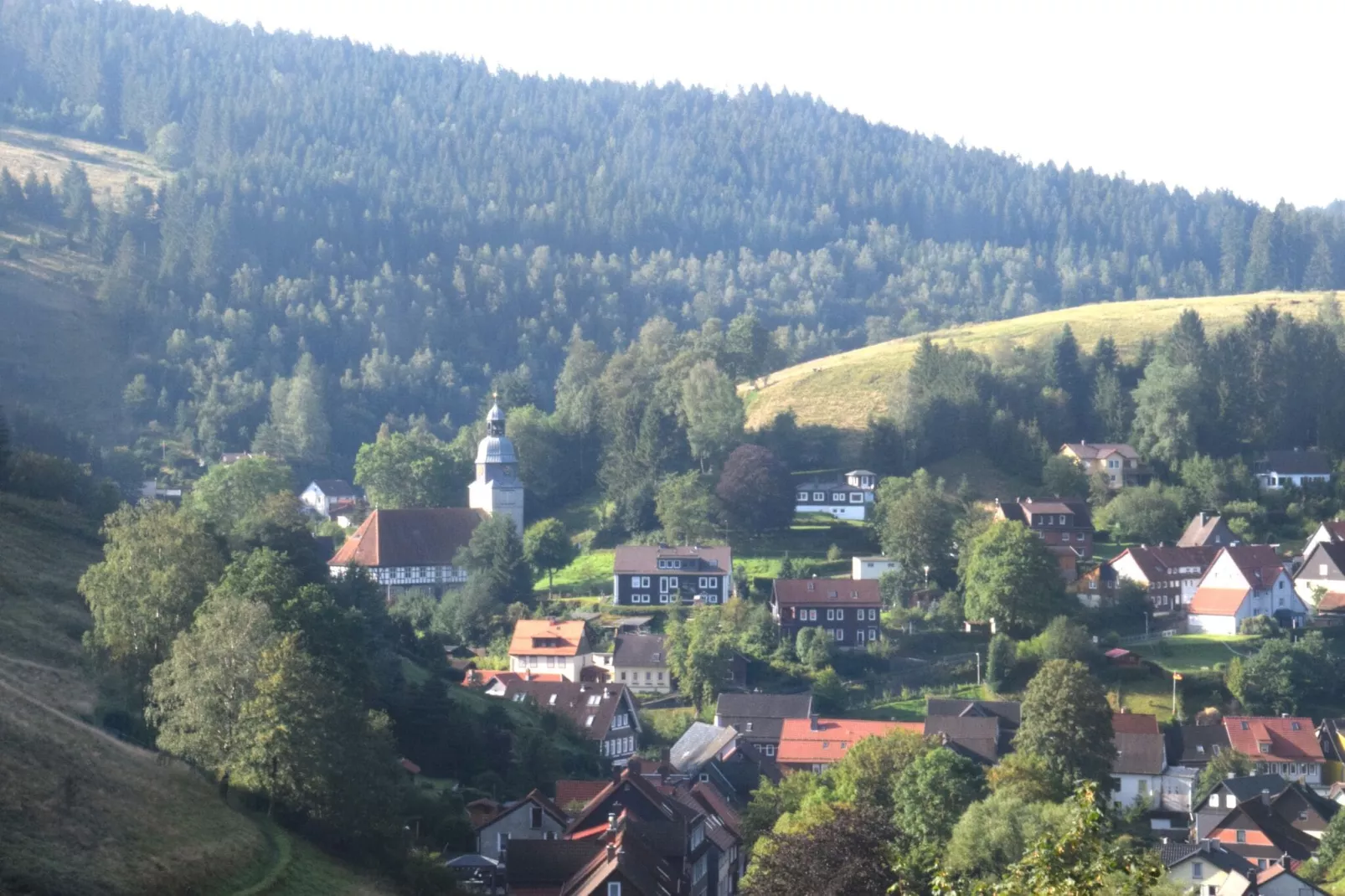 Ferienapartment Frosch in Wildemann Harz-Gebieden zomer 1km