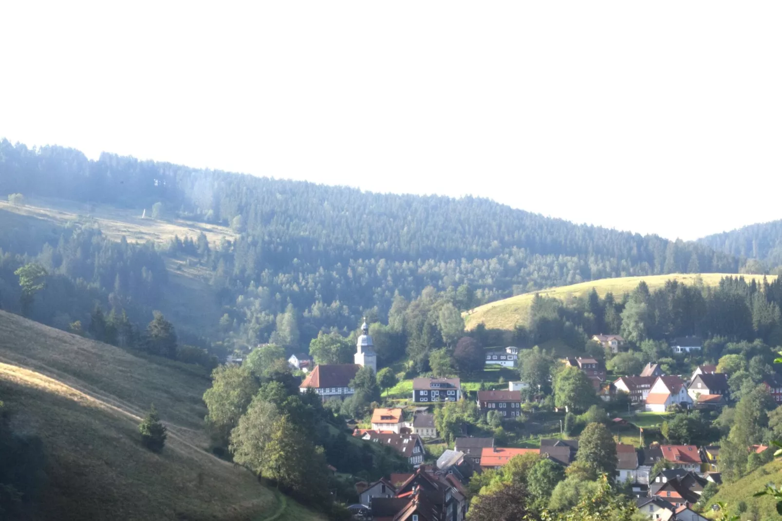 Ferienapartment Romatik in Wildemann Harz-Gebieden zomer 1km