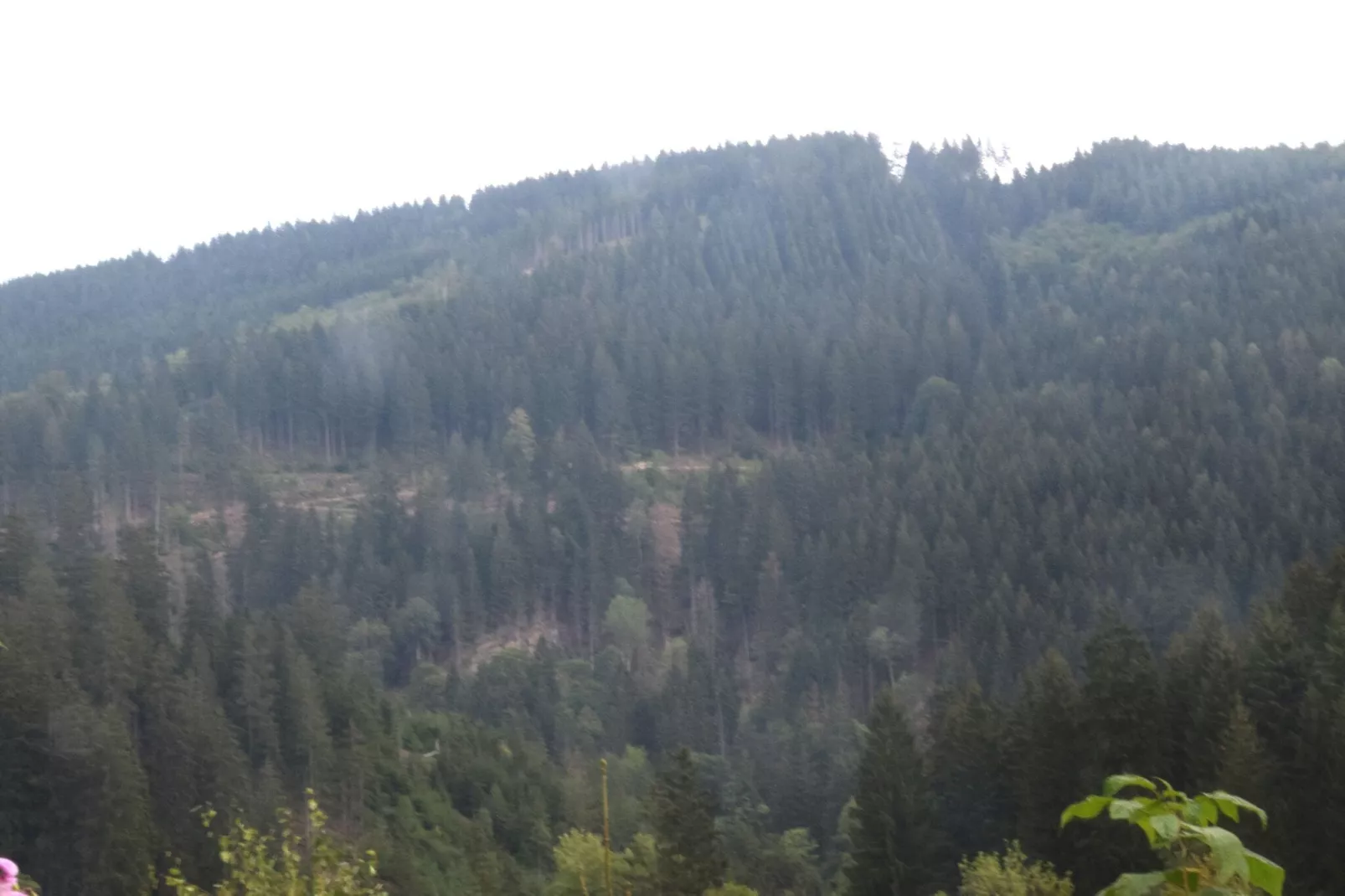 Ferienapartment Romatik in Wildemann Harz-Gebieden zomer 1km