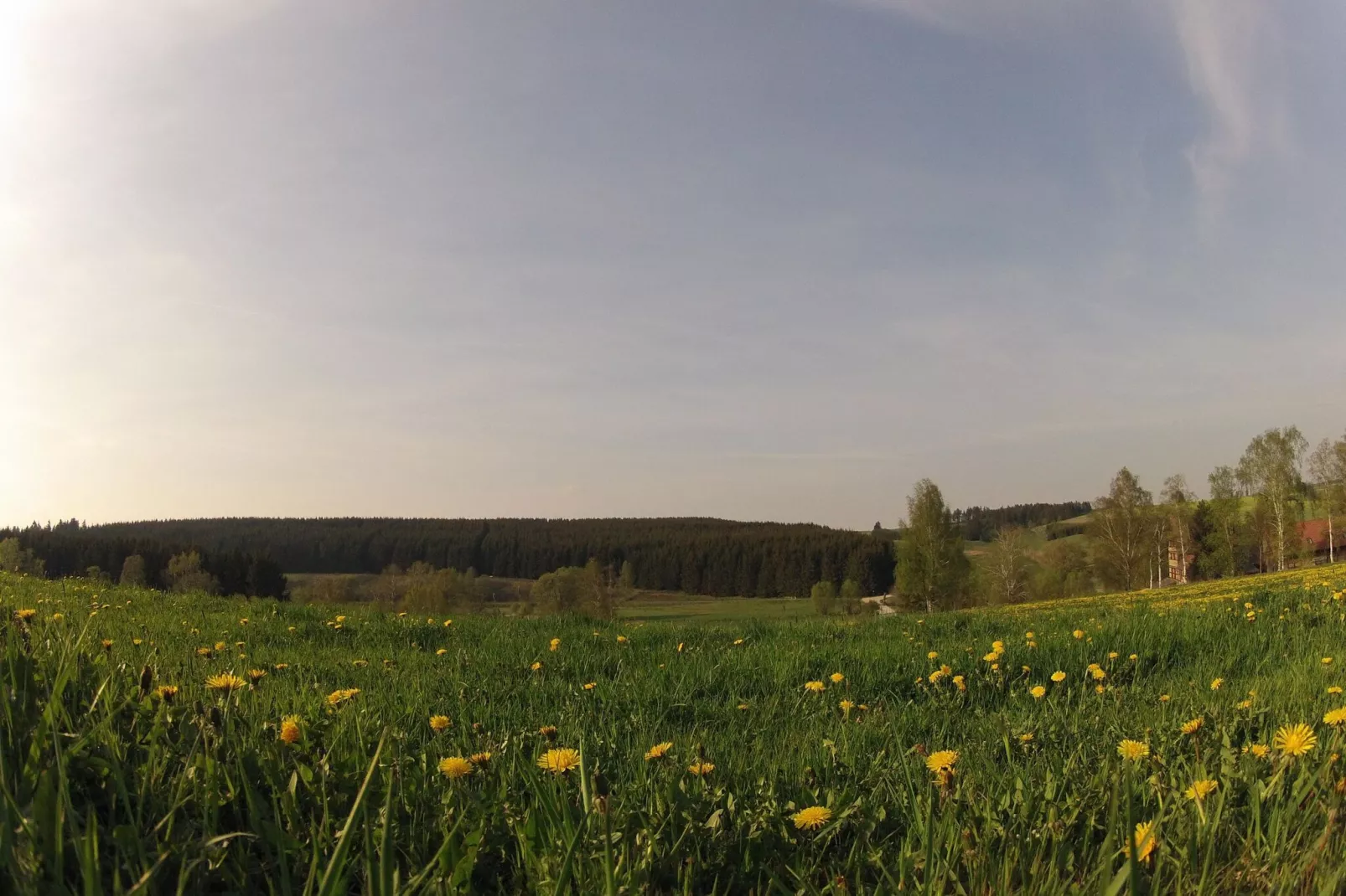 Ferienhaus in Hasselfelde - Haus 22 Blauvogel-Gebieden zomer 5km