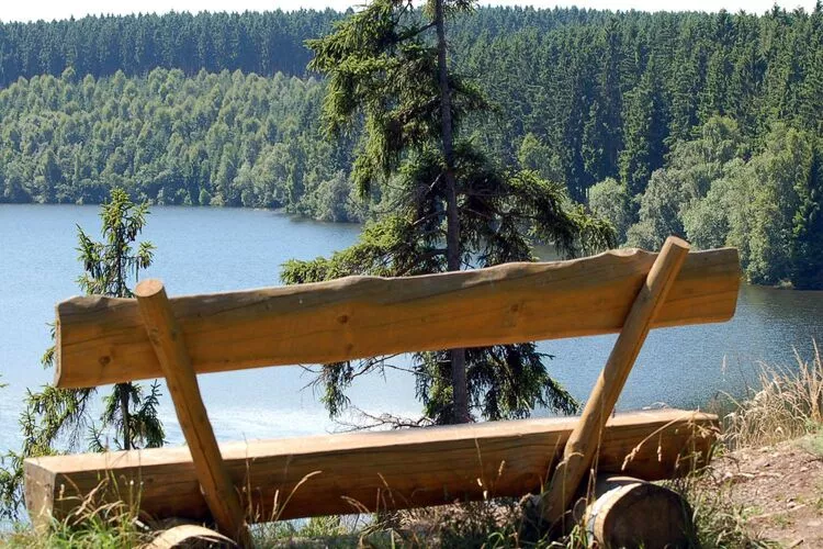 Ferienhaus in Hasselfelde - Haus 318 Auerhahn-Gebieden zomer 5km