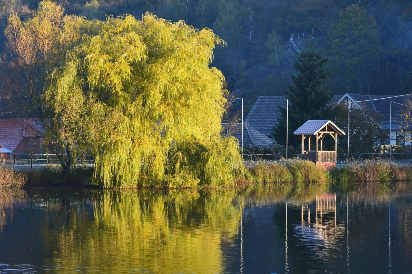 Ferienhaus in Hasselfelde - Haus 318 Auerhahn-Gebieden zomer 5km