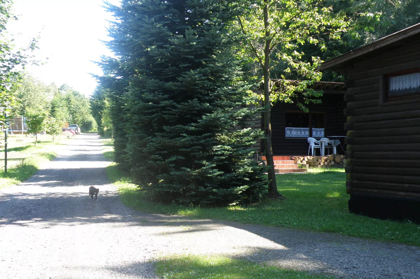 Bungalowpark Schnee-Eifel 4-Gebieden zomer 1km