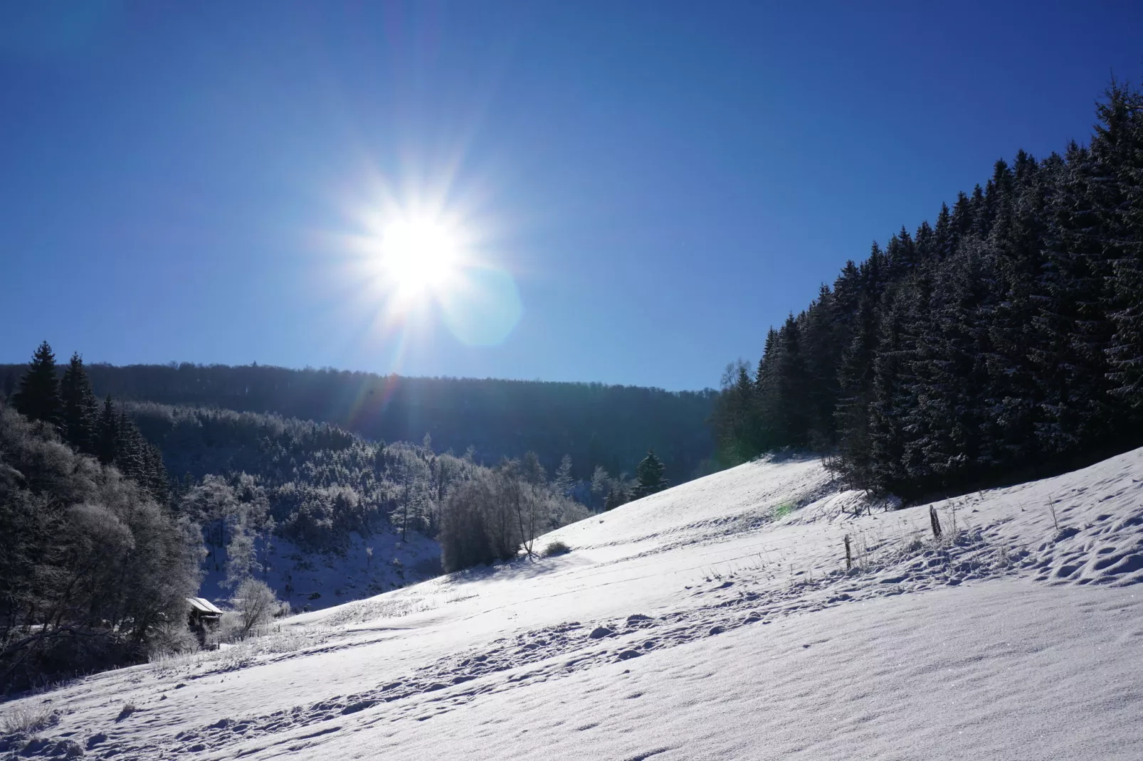 Landhaus  Lodge Winterberg-Gebied winter 1km