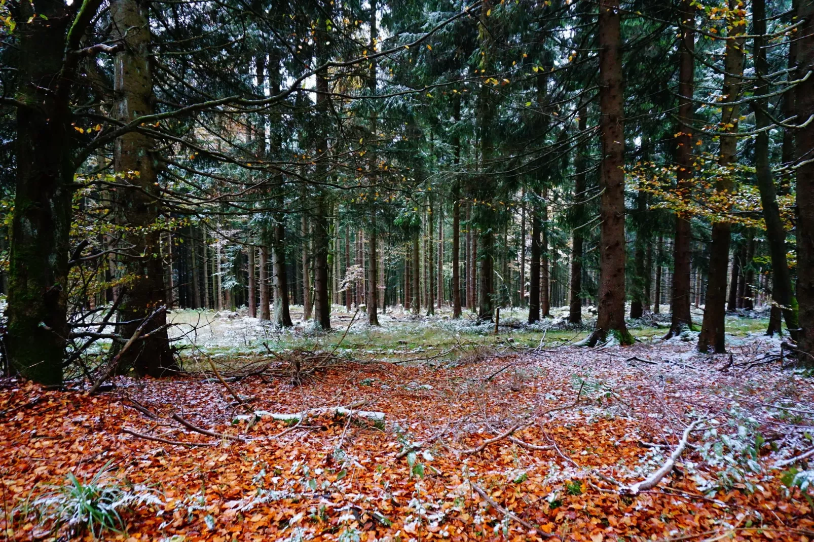 Landhaus  Lodge Winterberg-Gebied winter 5km