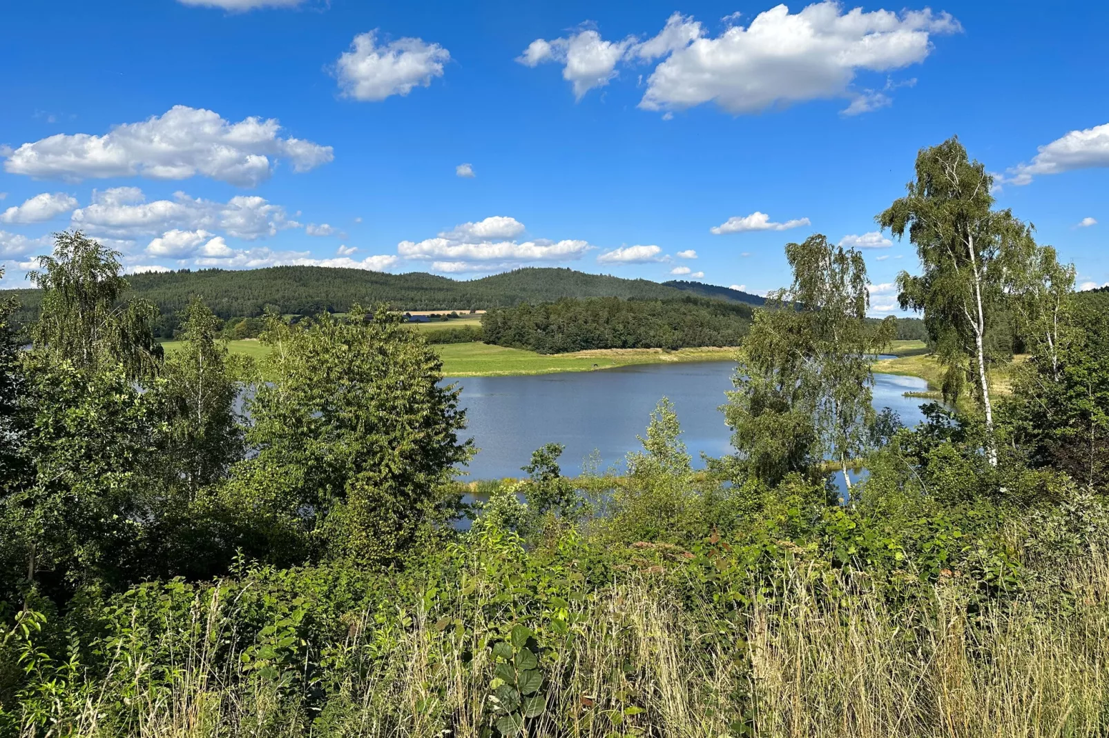 FERIENDORF SEEBLICK - Tiny Chalet am Eixendorfer See-Gebieden zomer 1km