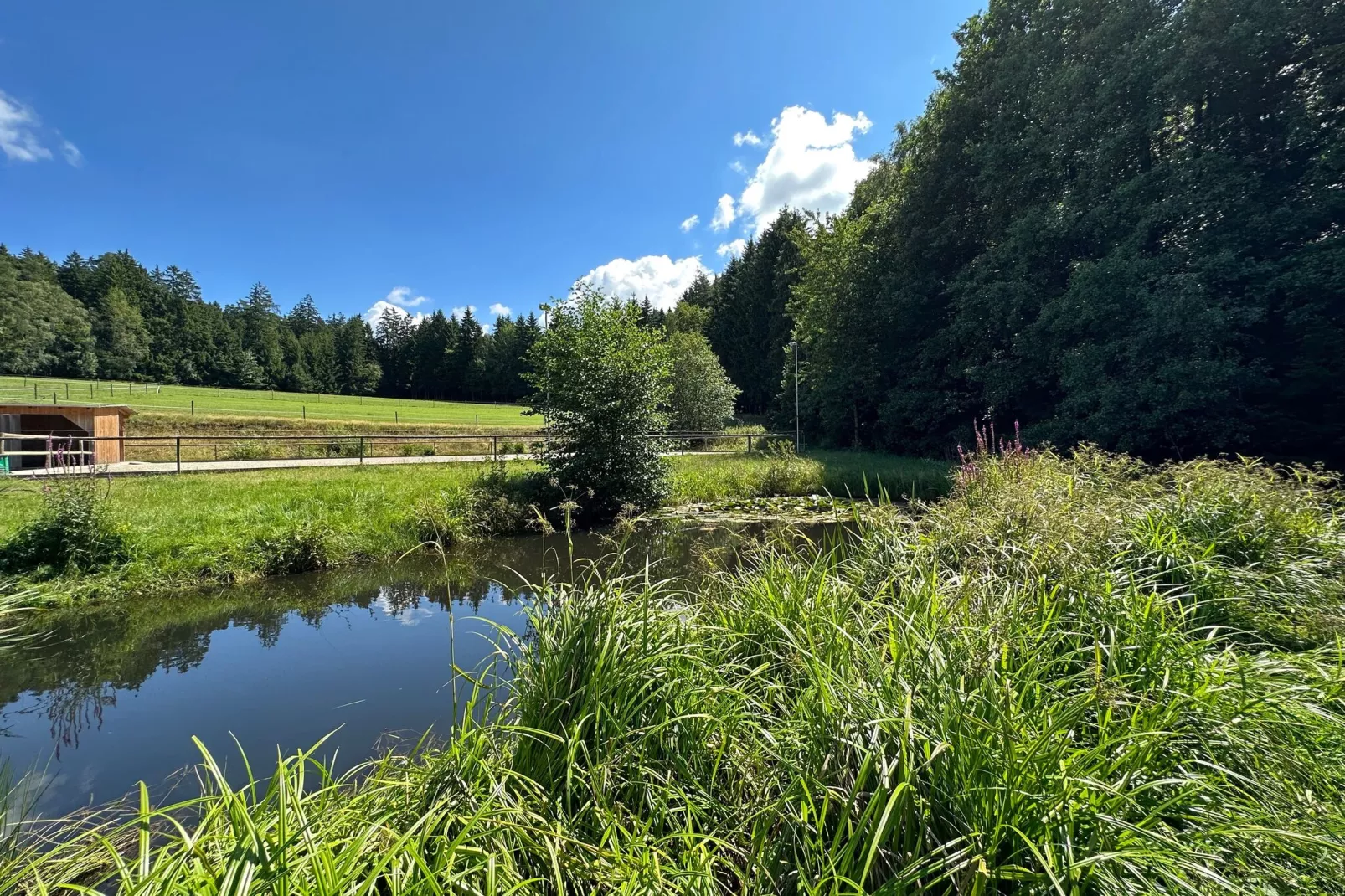 Kleinenzenried-Tuinen zomer