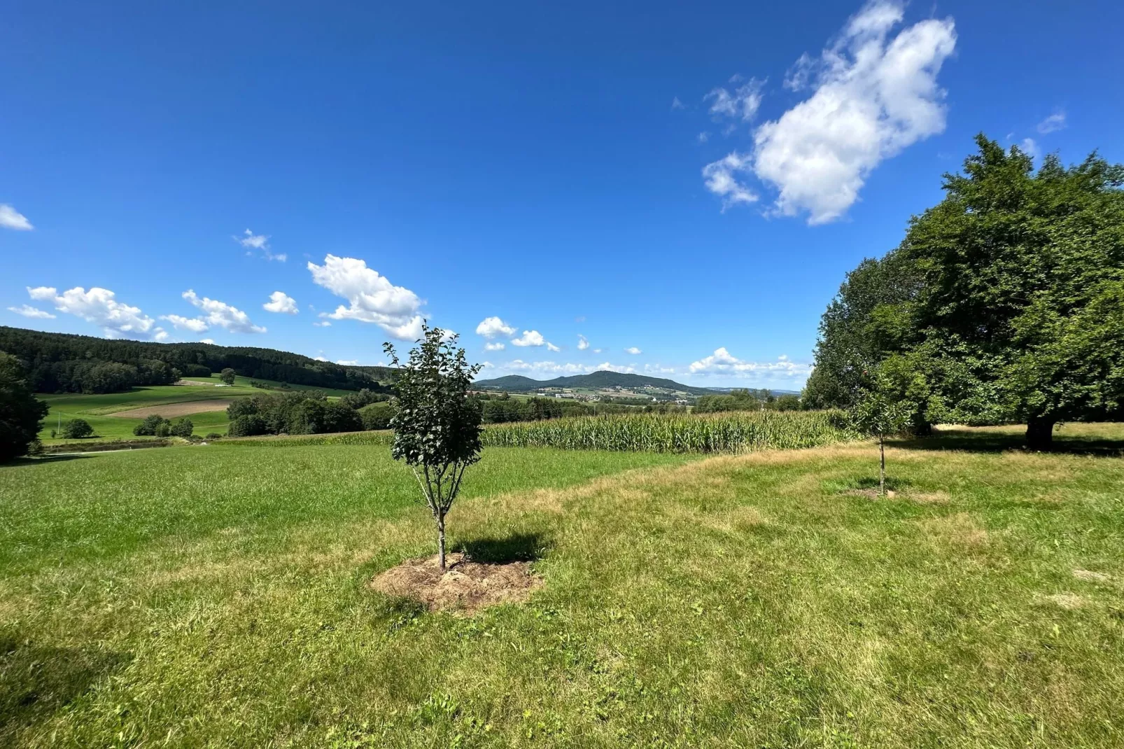 Kleinenzenried-Tuinen zomer