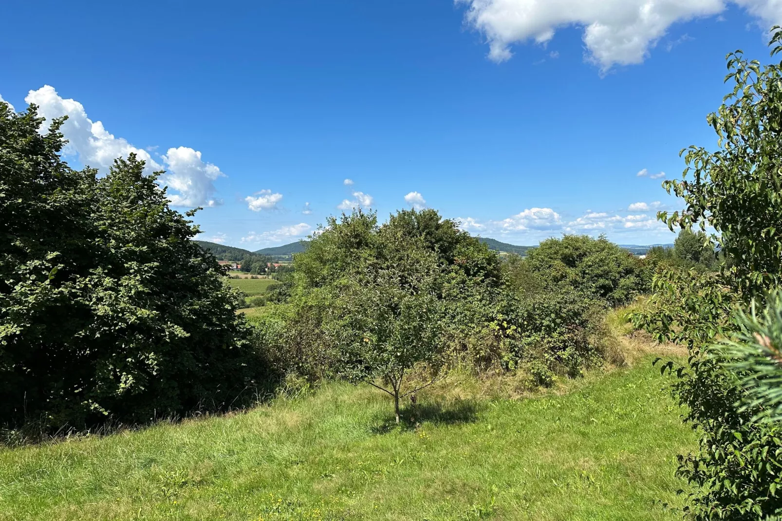 Kleinenzenried-Uitzicht zomer