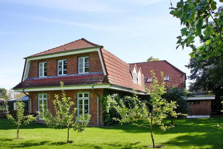 Gutshaus Schulenbrook Linde 30 m²-Buitenkant zomer