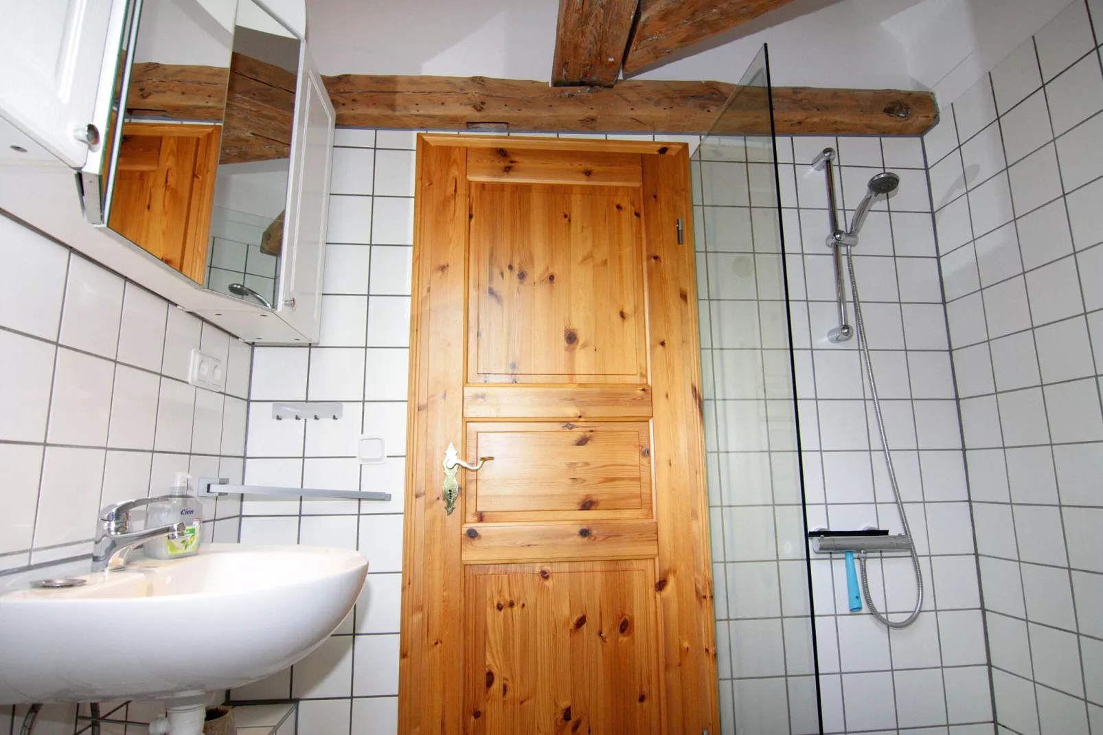 Gutshaus Schulenbrook Birke 40 m²-Badkamer