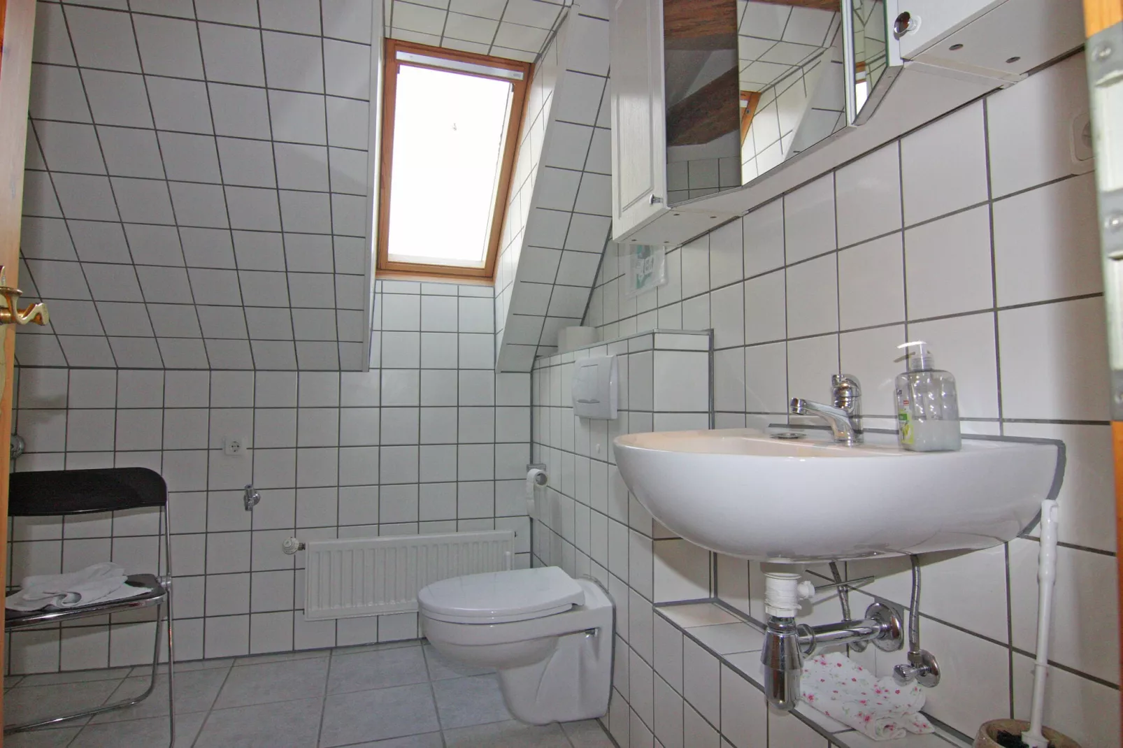 Gutshaus Schulenbrook Birke 40 m²-Badkamer