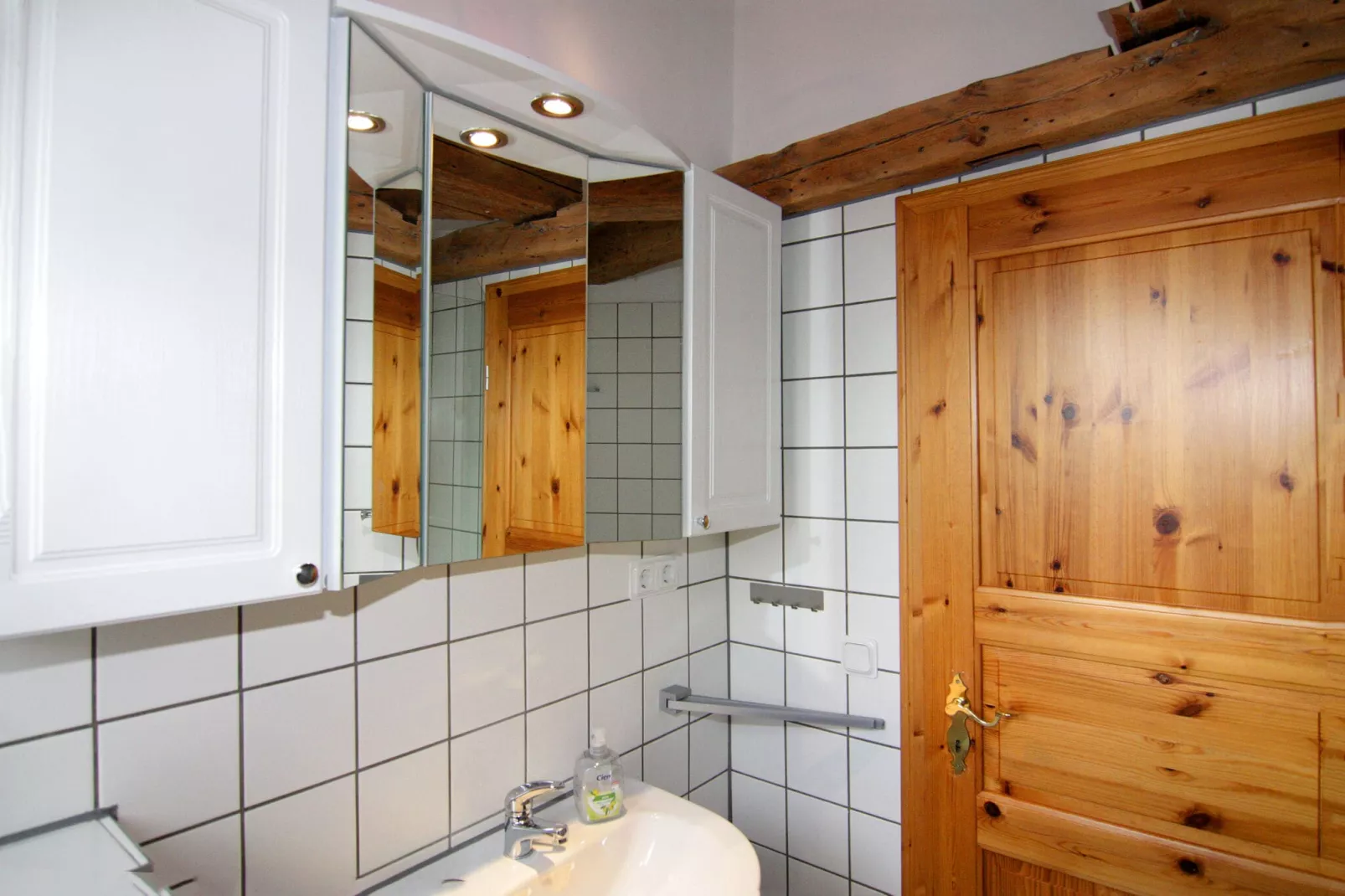 Gutshaus Schulenbrook Birke 40 m²-Badkamer