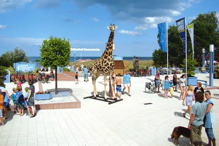 DHH Ostseehaus II rechts 2 P-Gebieden zomer 1km